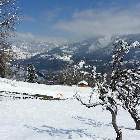 Ferienwohnung Mitterleithengut Zell am See Luaran gambar