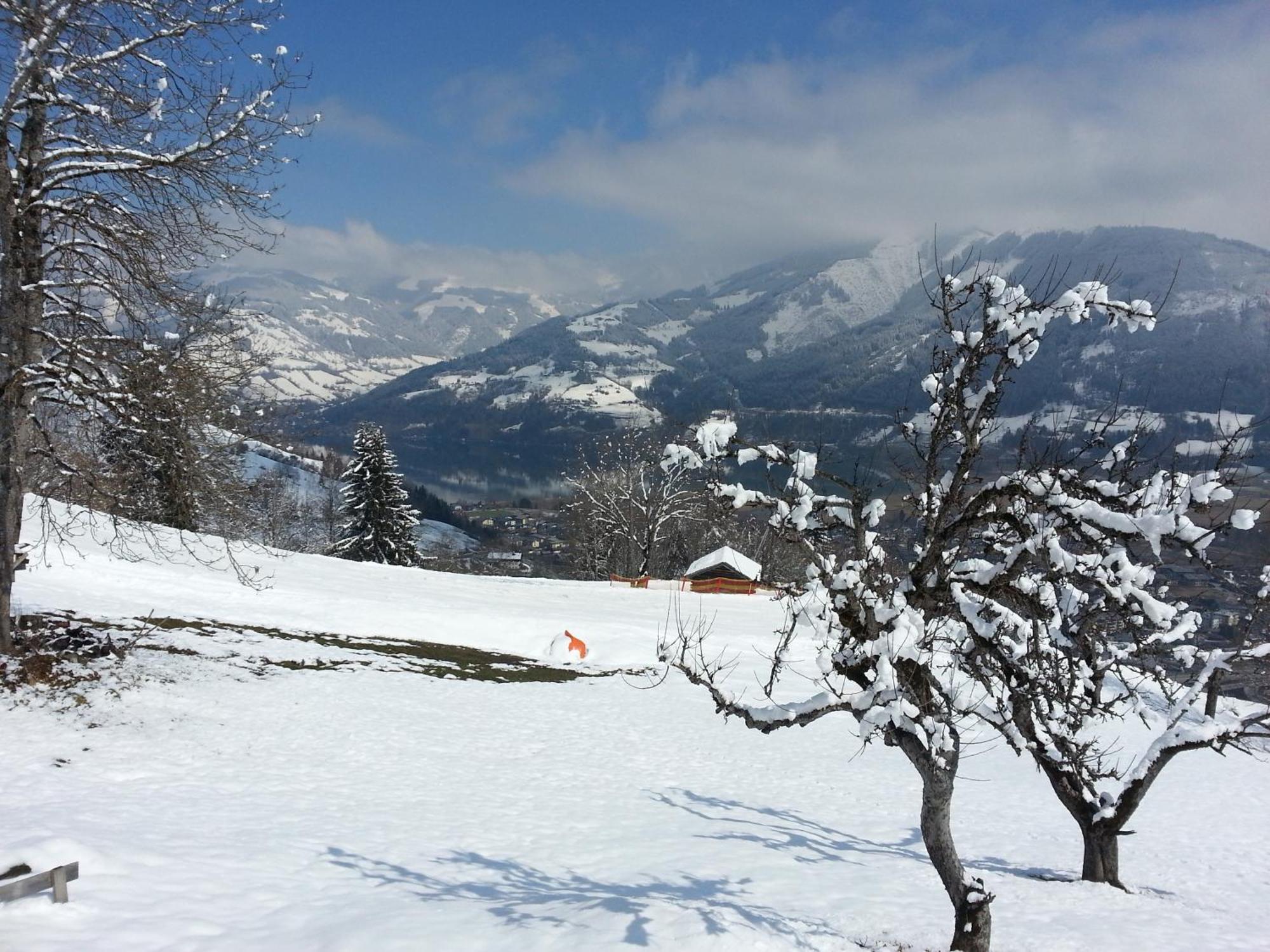 Ferienwohnung Mitterleithengut Zell am See Luaran gambar