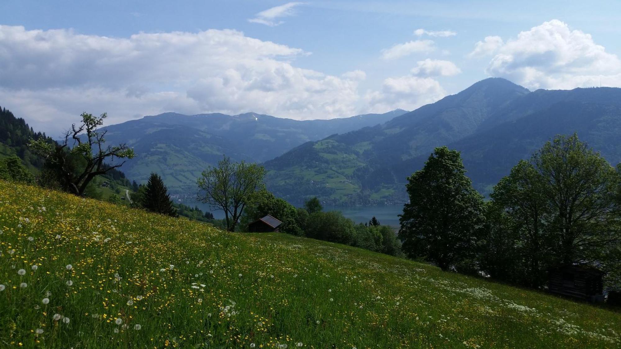 Ferienwohnung Mitterleithengut Zell am See Luaran gambar